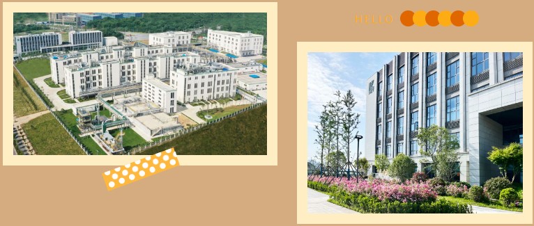 屏幕截图 2024-10-14 103556.jpg 屏幕截图 2024-10-14 103556.jpg